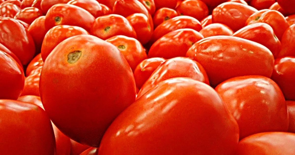 Aumentan precios al consumidor en primera quincena de octubre