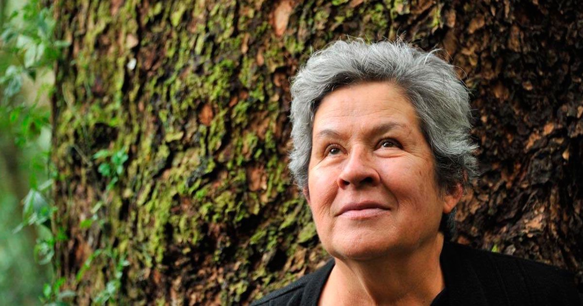Mexicana gana premio “Innovadores de América”