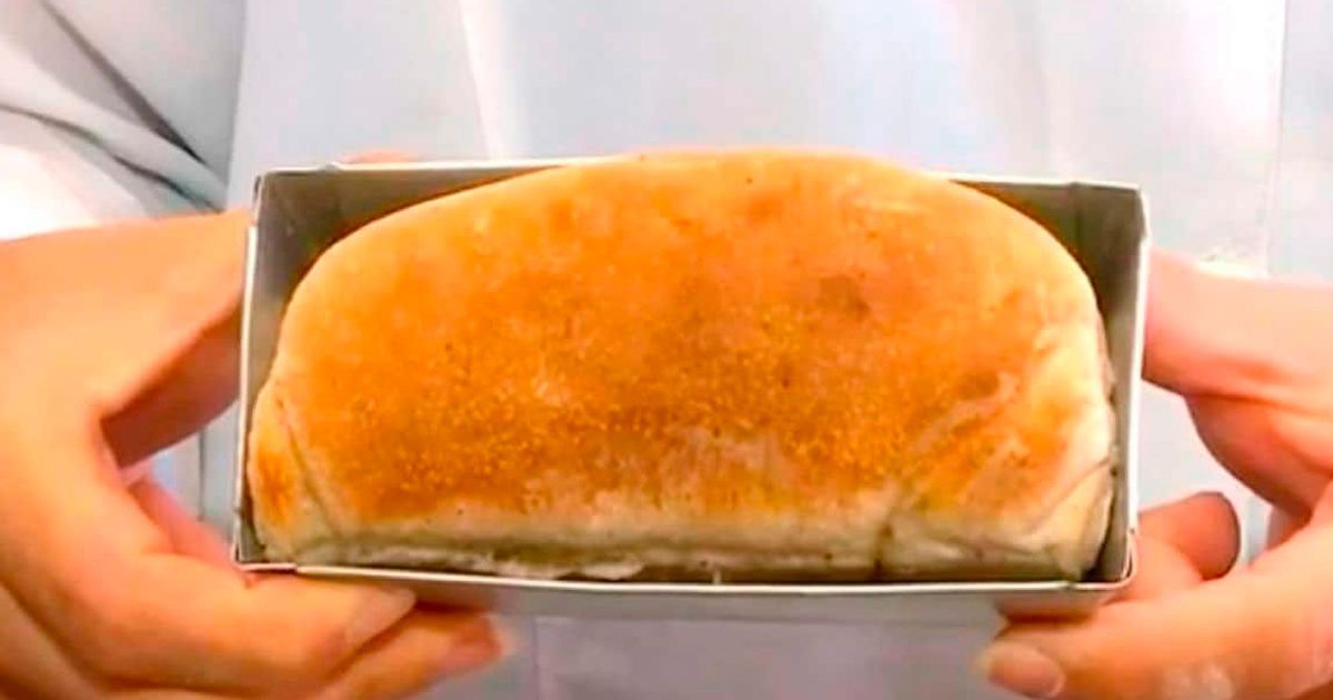 Crean pan hecho de cucarachas