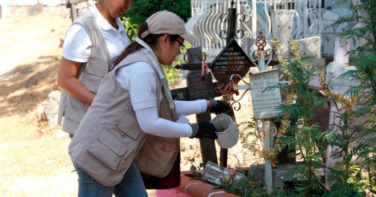 Exhortan a eliminar criaderos de mosquitos en panteones
