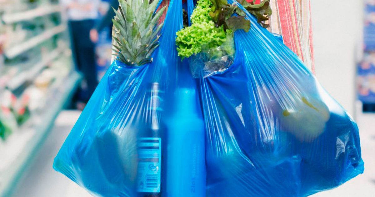 En 3 meses Morelos podría tener ley contra uso de plásticos