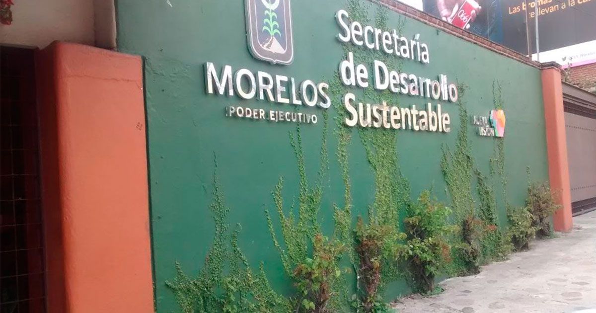 Vincularán a proceso a cuatro ex funcionarios de SDS