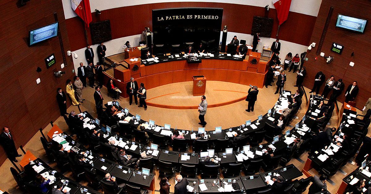 Senadores de Morena van contra nepotismo