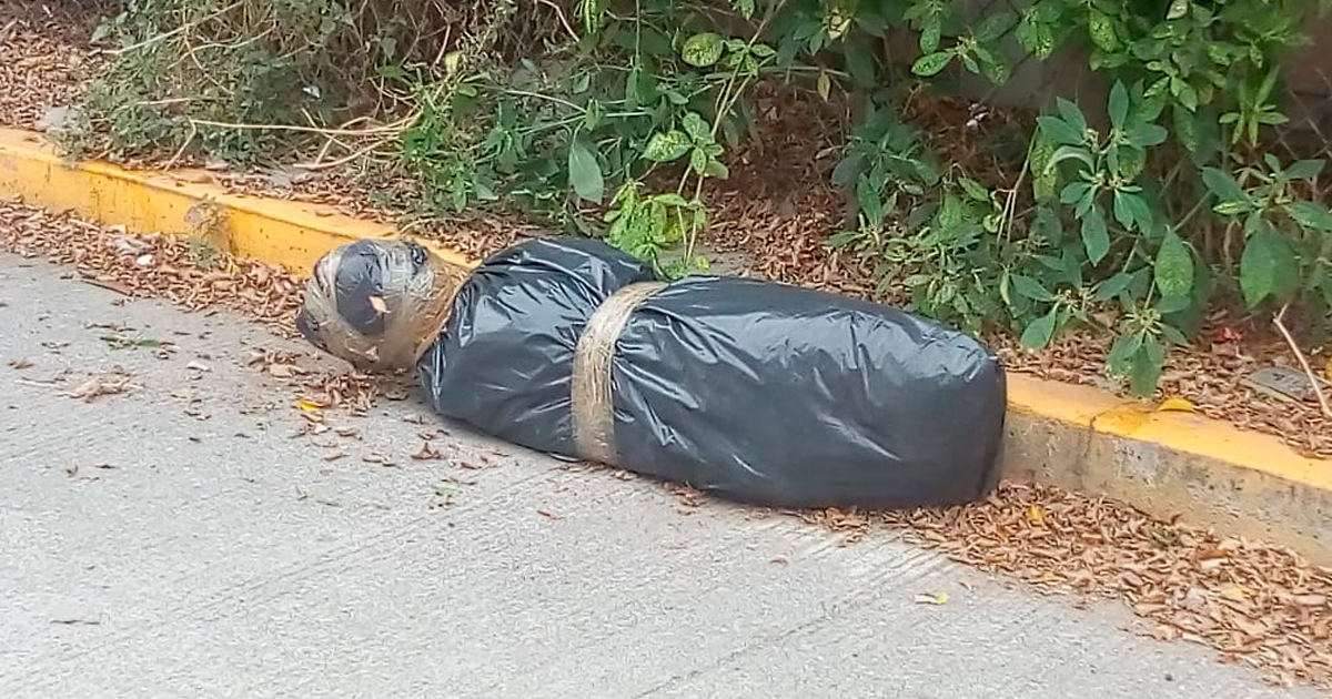 Una mala broma en Zacatepec