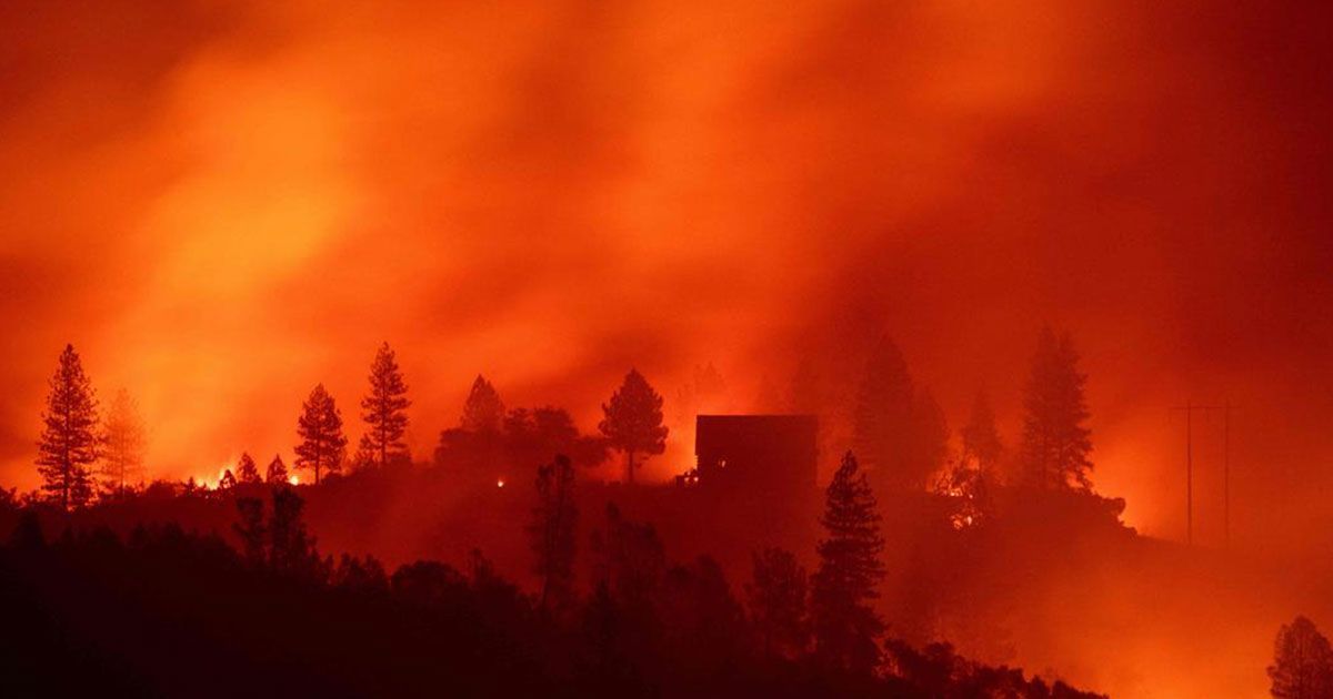 Aumenta lista de muertos a 83 tras incendio en California