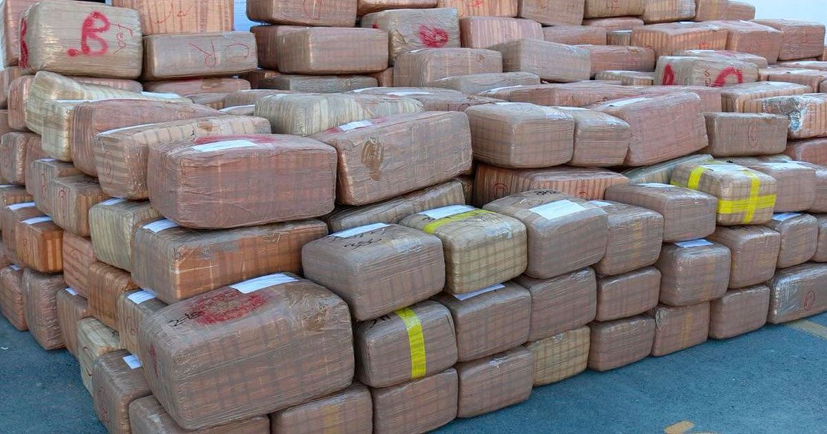 Aseguran más de 4 toneladas de marihuana