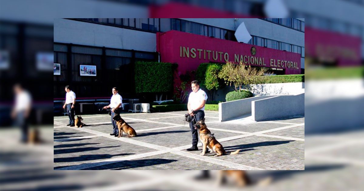 INE jubila a “Nick” y “Clío” de la Unidad Canina