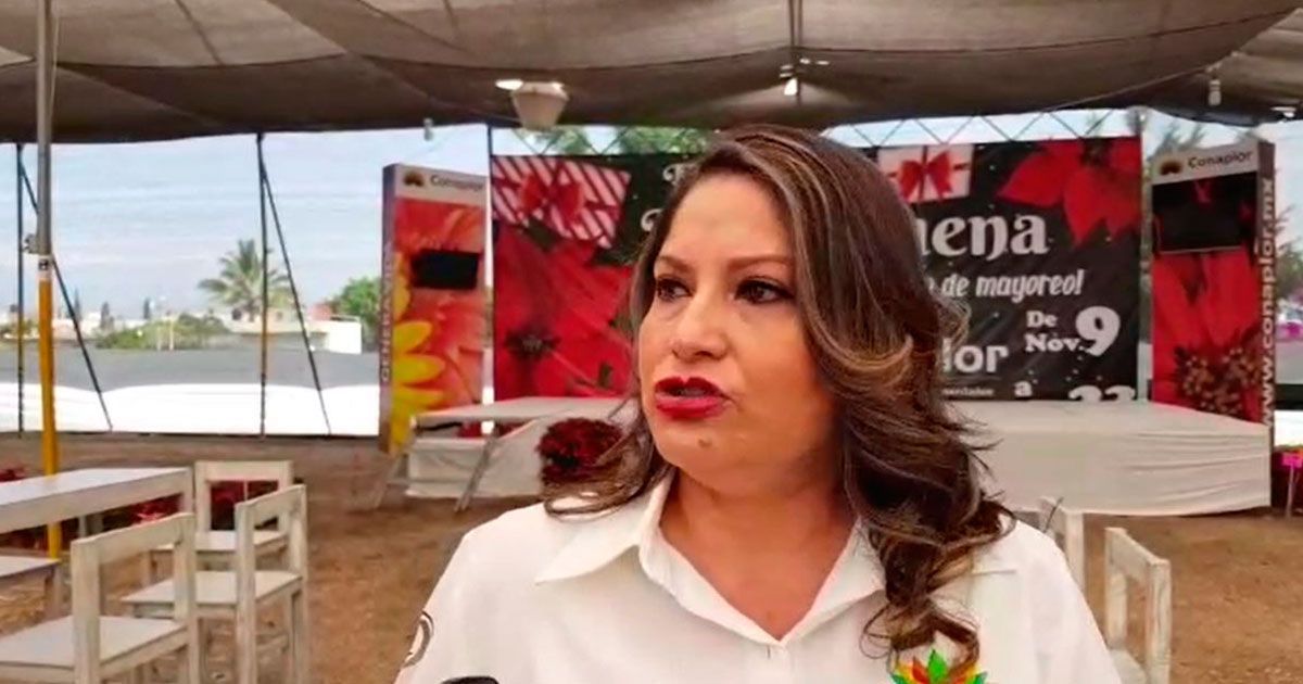 Expo Nochebuena 2018 en Cuautla