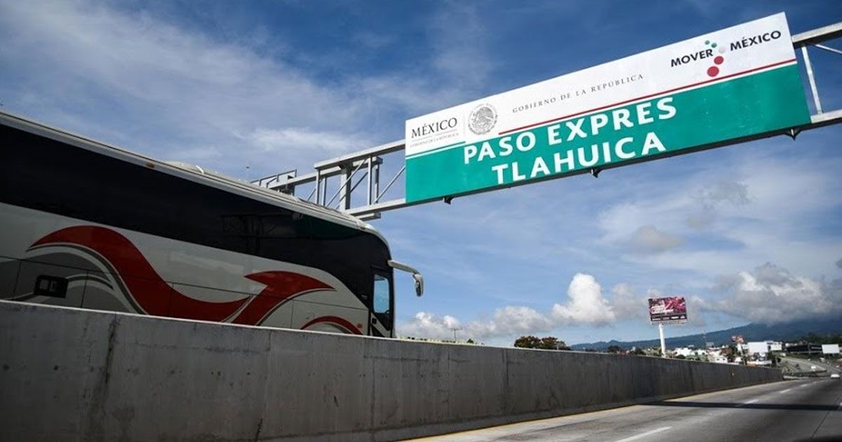 Incumplió SCT con reforestación tras tala en Paso Exprés