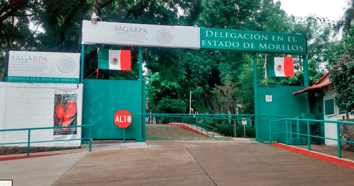 Protestan en SAGARPA en Cuernavaca