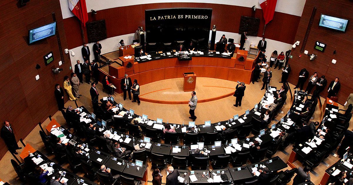 Germán Martínez regresa al Senado