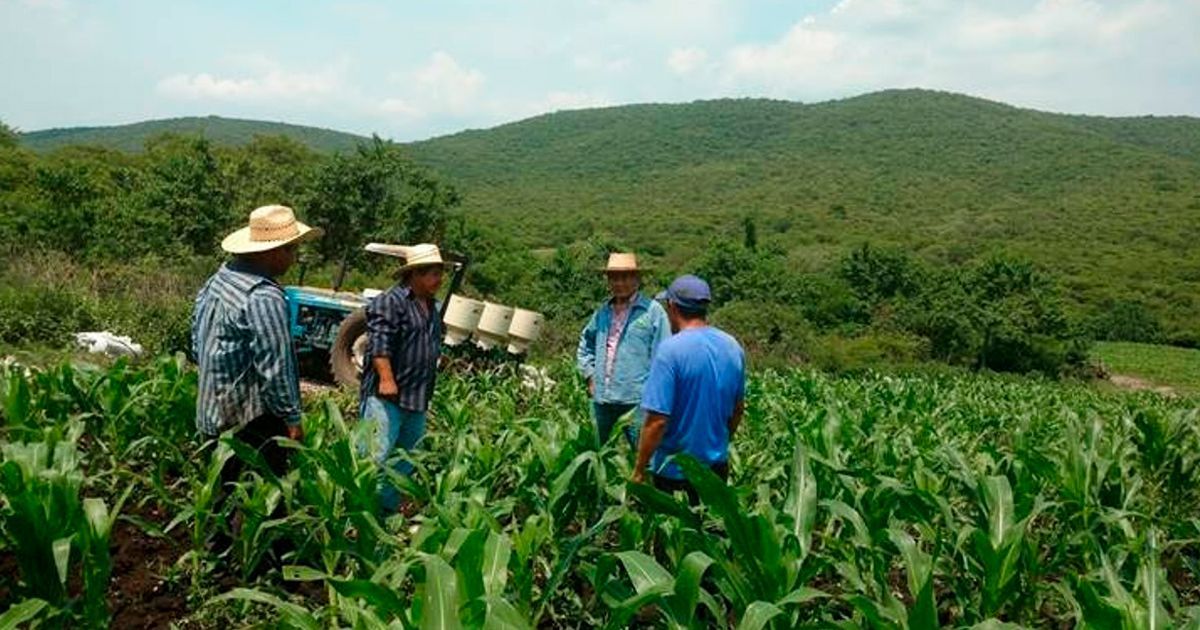 24 Morelos Campo