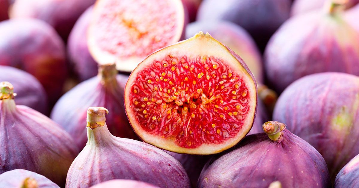 Morelos; principal exportador de higo en México