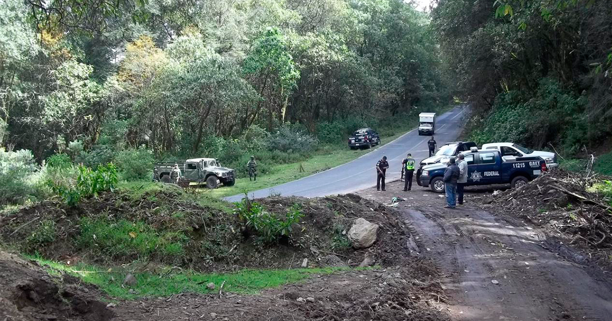 Realiza Propefa operativo para evitar tala ilegal en Huitzilac