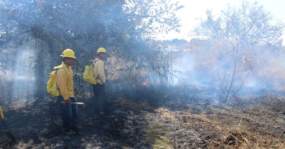 Se incrementan incendios en Zacatepec