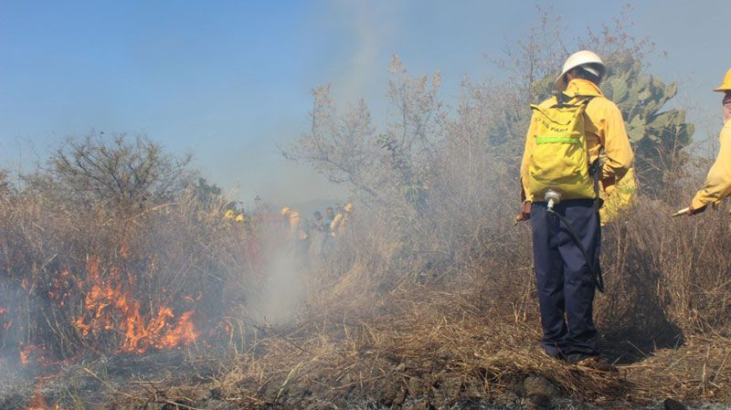 Incumplen 19 municipios en entrega de Plan contra Incendios