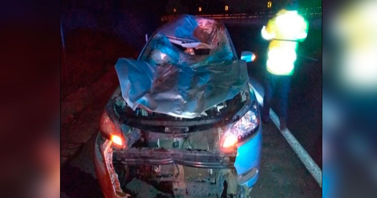 Atropellan a dos caballos sueltos en la México – Cuernavaca