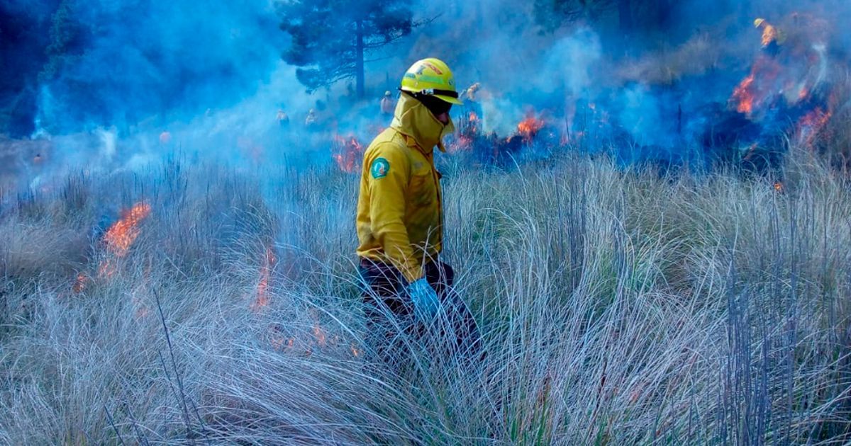 Suman 19 incendios que han afectado a 174 hectáreas en Morelos