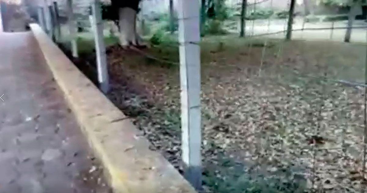 Se inconforman por instalación de malla metálica en parque