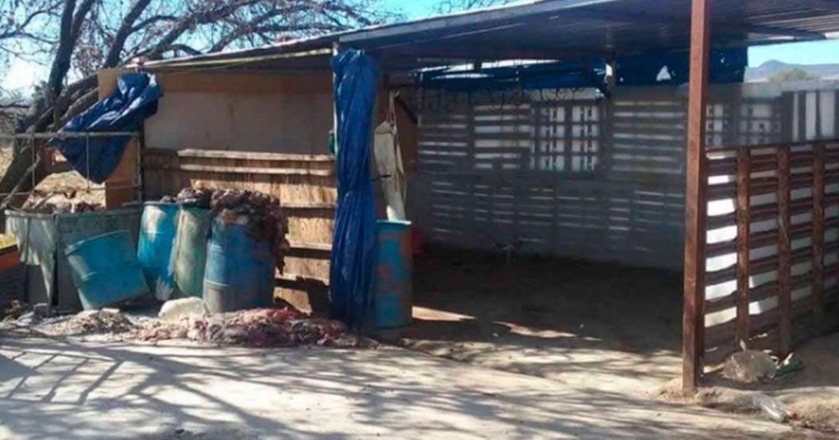 Localizan rastro clandestino en Aguascalientes