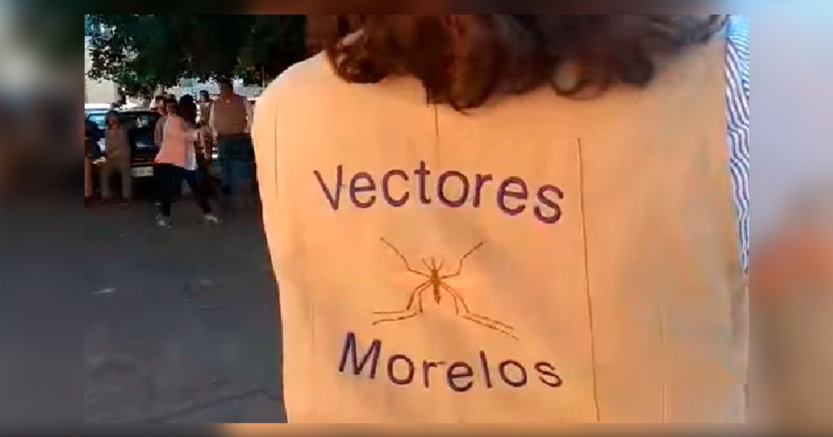 Cumplirá SSM con pago a trabajadores de vectores