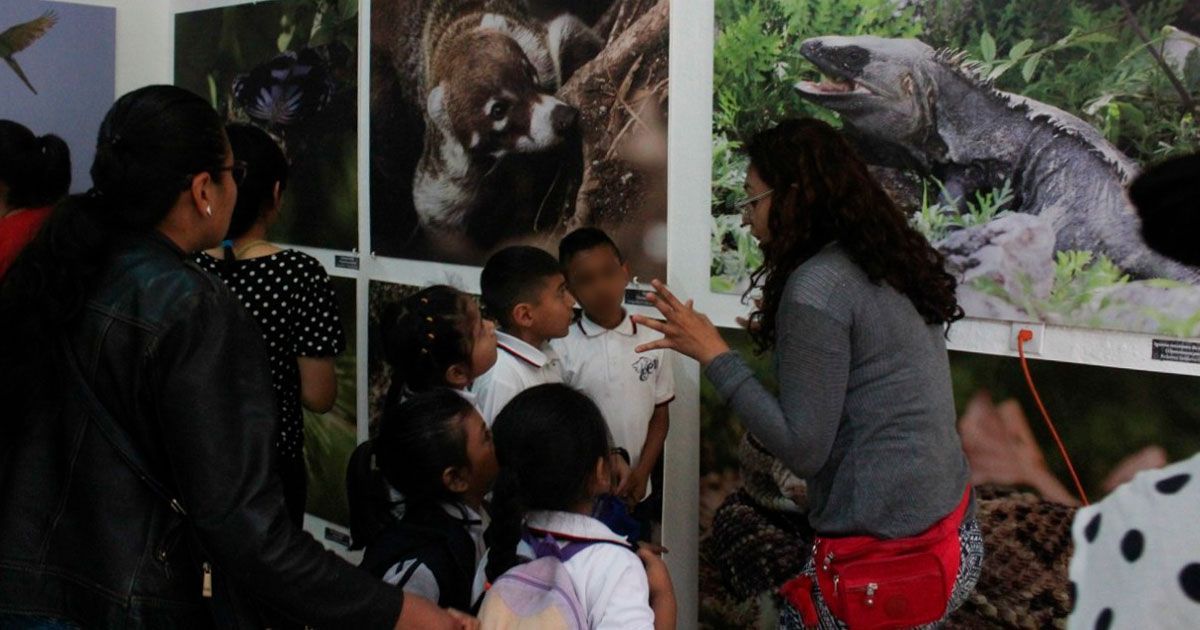 Muestra fotográfica en Barranca Chapultepec
