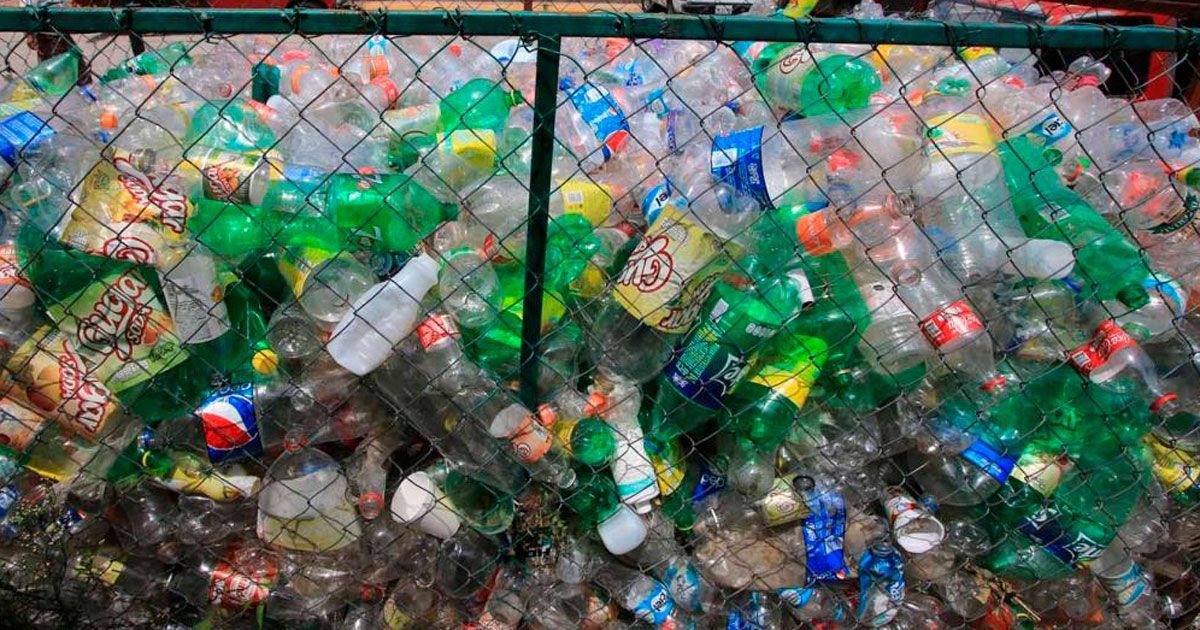 Llegan a acuerdos de recolección en Jojutla, Morelos