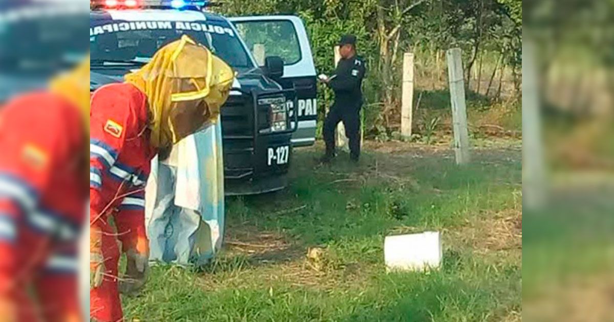 Abejas matan a abuelito en Hidalgo