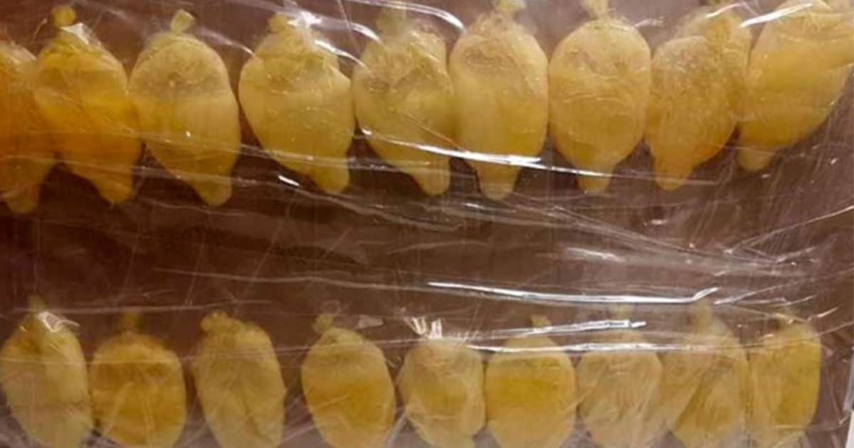 Decomisan bolsas de cocaína del estómago de una mujer