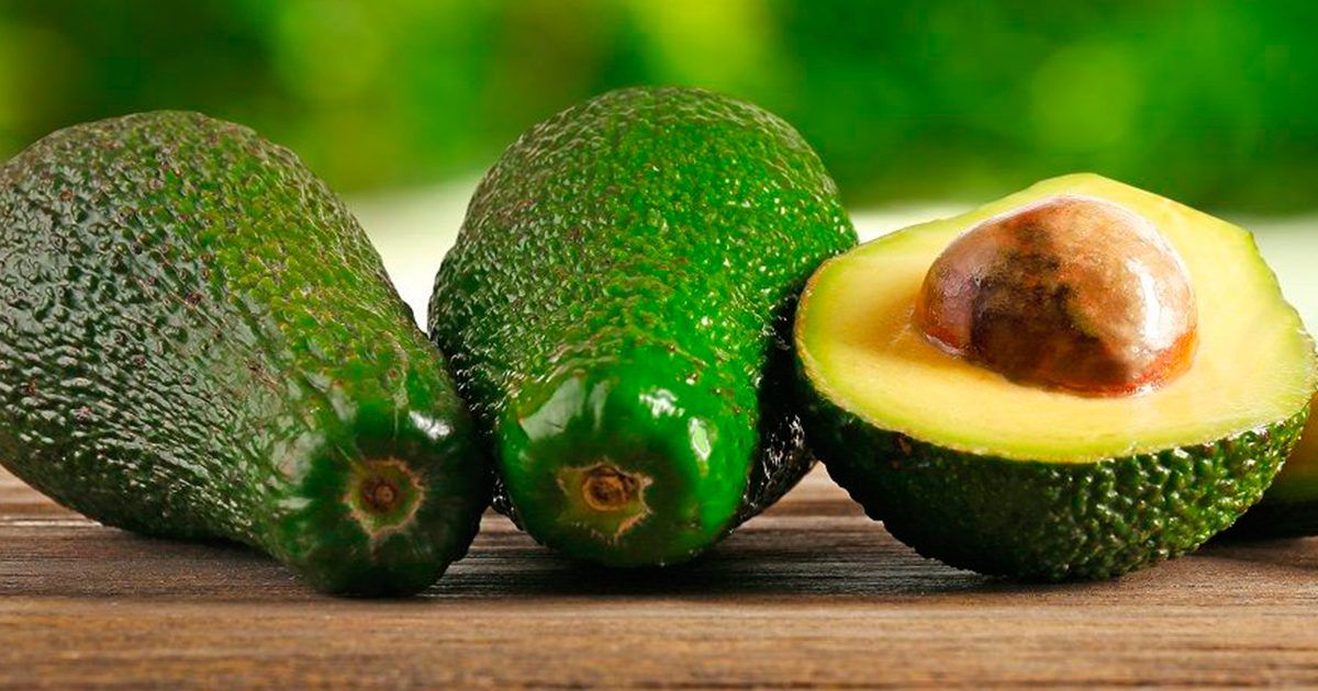 Descubren propiedades   del aguacate