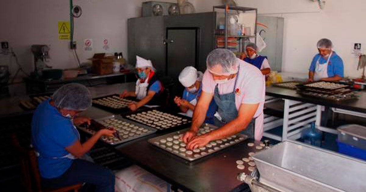 24 Morelos empresas