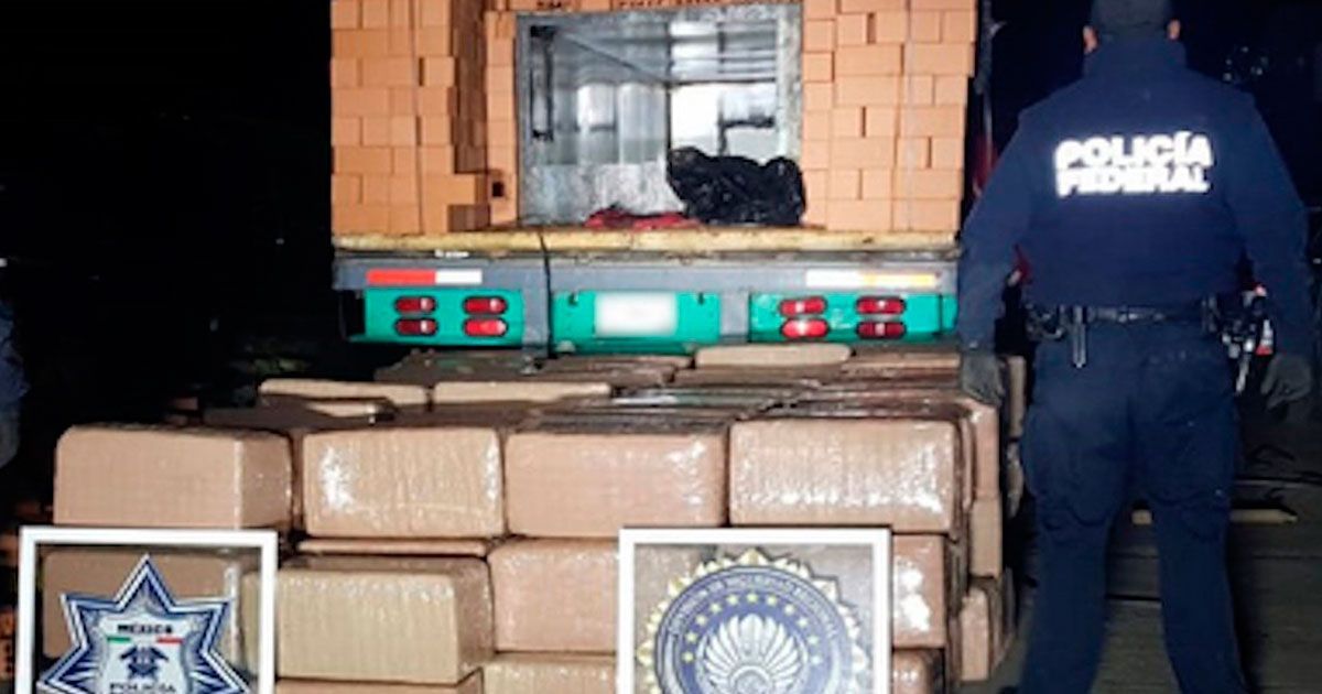 Decomisan marihuana oculta entre ladrillos en Zacatecas