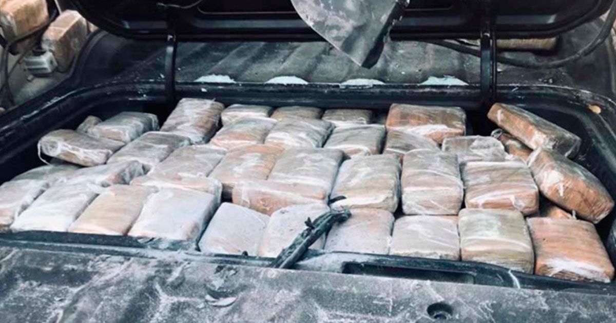 PF encuentra carga de marihuana