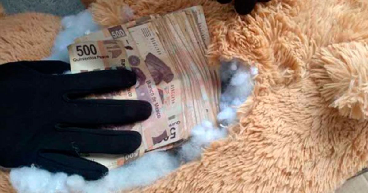 Encuentran dinero en osito de peluche