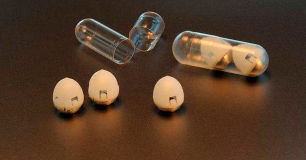 Desarrollan pastillas de insulina