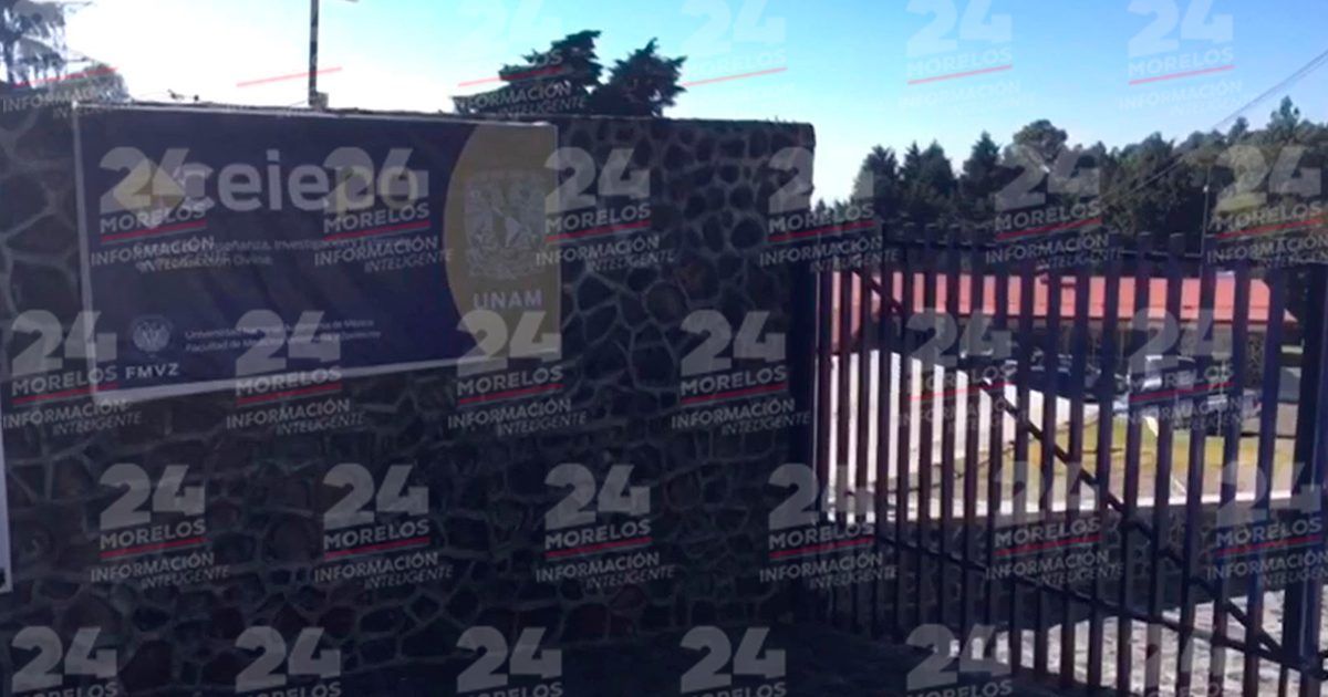 Roban borregos y camioneta en sede de la UNAM