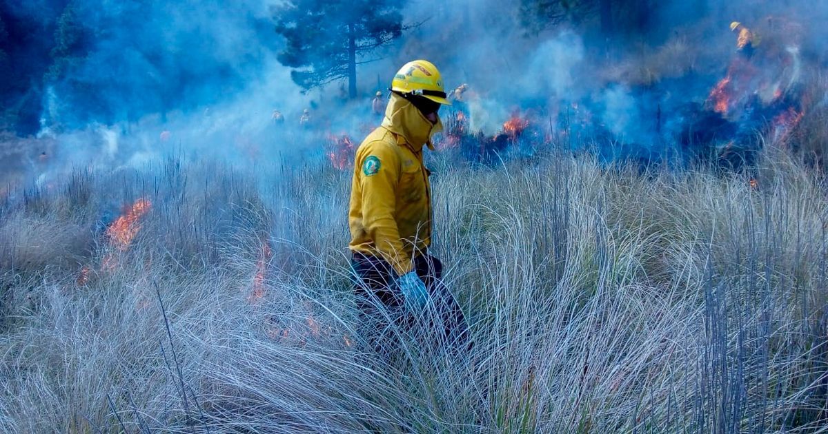 Cuida tu salud ante incendios forestales