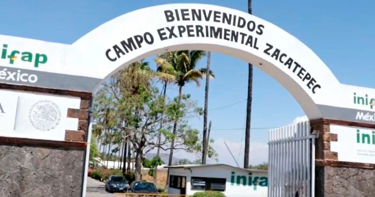Cumple dos semanas huelga en el INIFAP