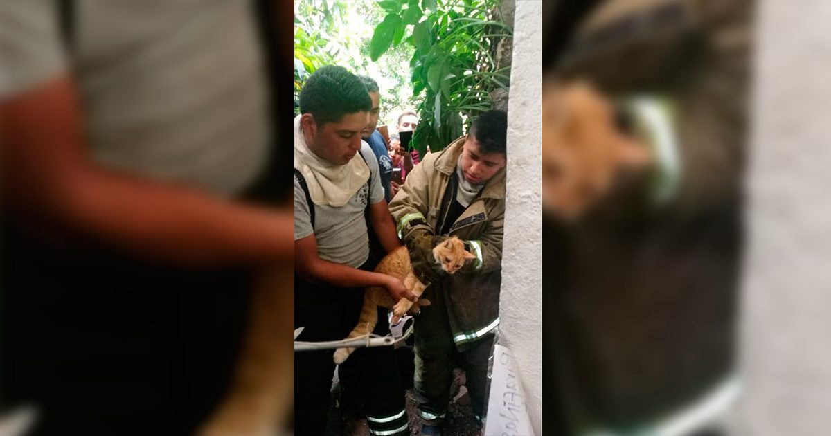 Atiende PC Cuernavaca distintas emergencias durante el fin de semana