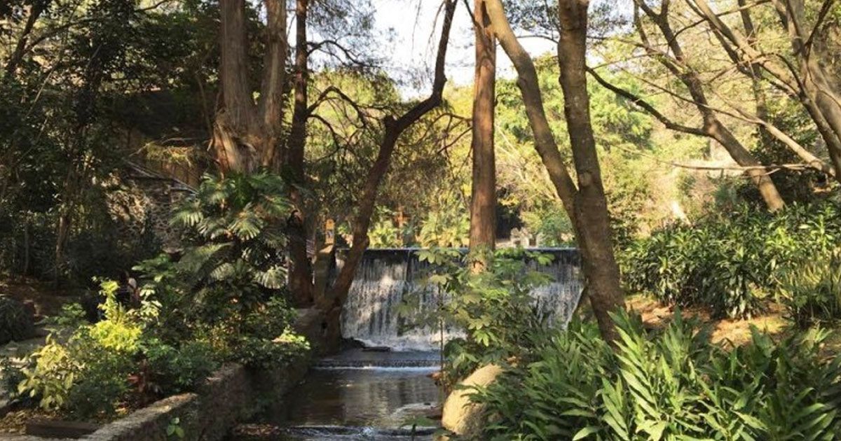 Parque Chapultepec está abierto hoy lunes