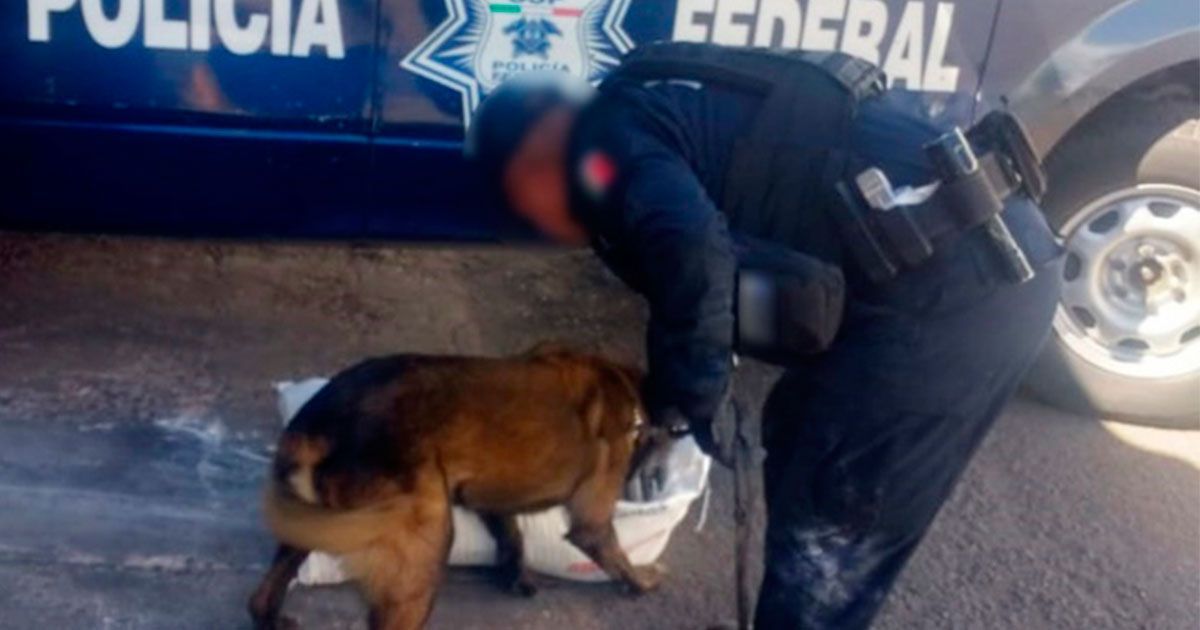 Encuentran 50 kilos de metanfetamina en Hermosillo