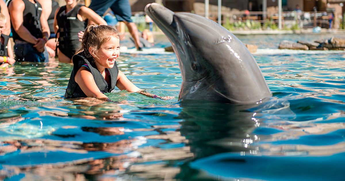 Parque en Arizona no usará delfines en espectáculo