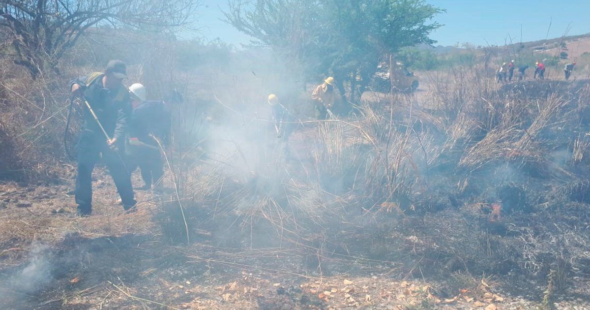 Entre dos y tres incendios al día en Jojutla