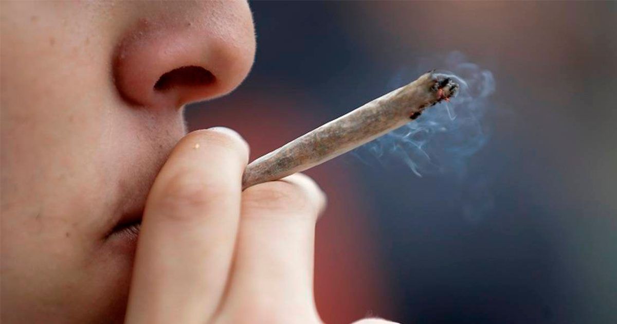 Prepara Impajoven campaña sobre uso de la marihuana