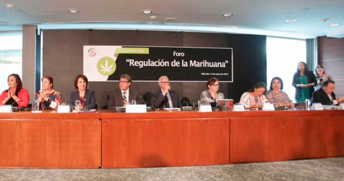 Abren tema de legalización de marihuana en el Senado