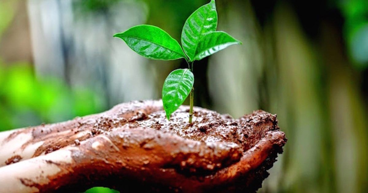 Imparten talleres de educación ambiental en Tetela del Volcán