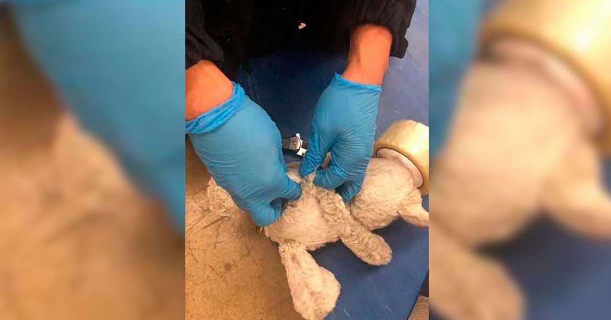 Esconden droga en peluche en Tijuana