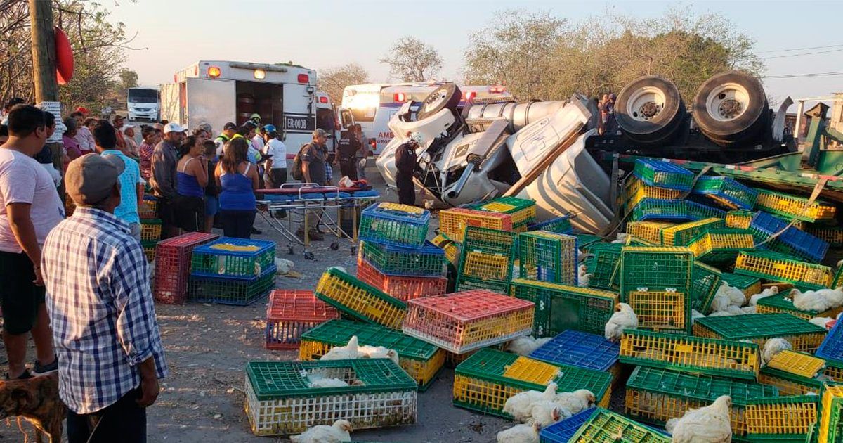 Vuelca tractocamión con gallinas en Alpuyeca