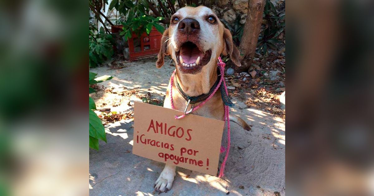 Todas las vidas cuentan ????