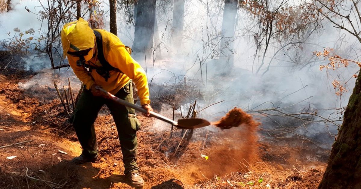 Se dispara el número de incendios forestales en el municipio de Jojutla